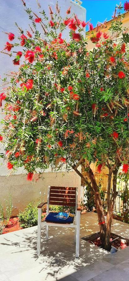 The - Corfu Διαμέρισμα